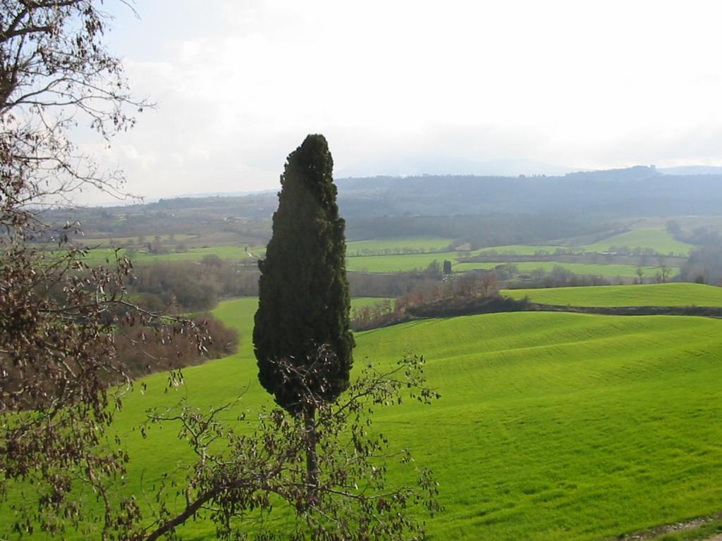 Poggio Cantarello Country - Tuscany *